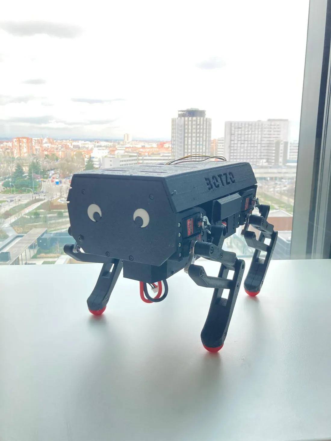 The Botzo quadruped robot standing on a ledge, a blue printed body on four legs.