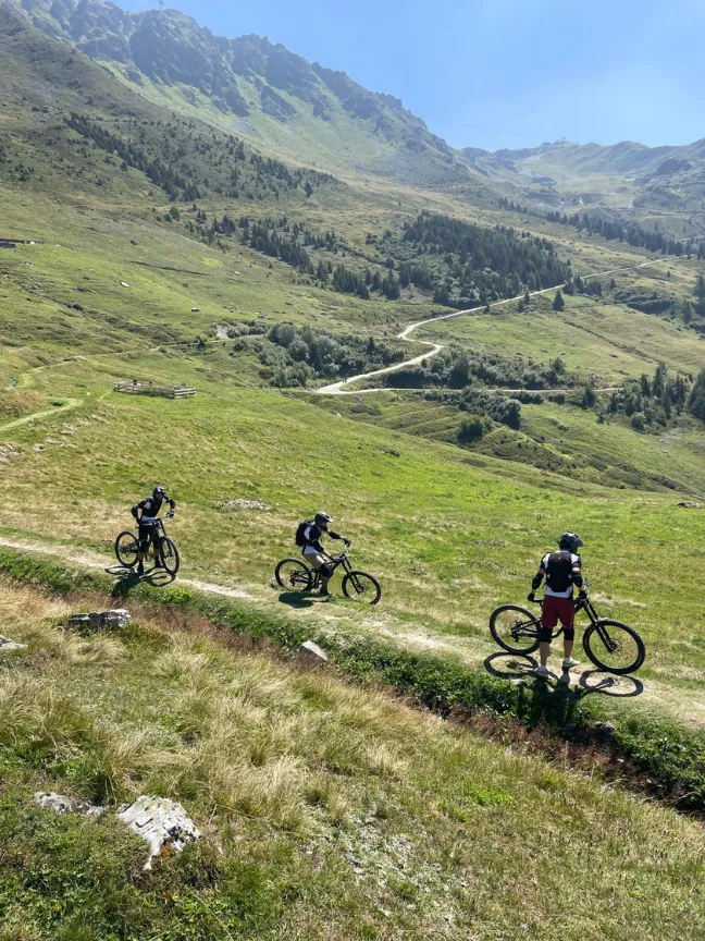 Three mountain bikers riding a green alpine trail with peaks behind.